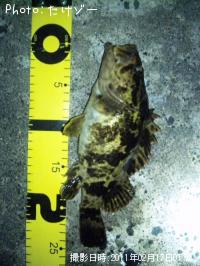 �����Υ���Х�