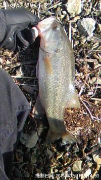 ¥Ö¥é¥Ã¥¯¥Ð¥¹