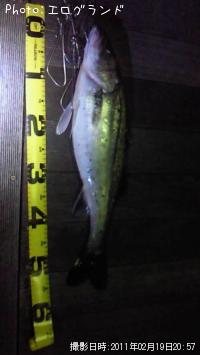 �����Х�