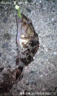 �����Υ���Х�