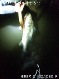 �����Х�