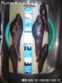 �������������ʥ�