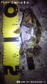 �����Υ���Х�