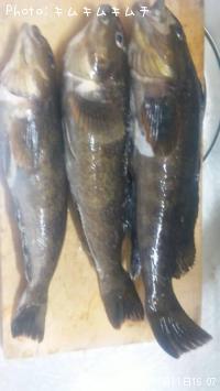 �����ʥ�