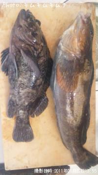 ¥¢¥¤¥Ê¥á¡¦¥½¥¤