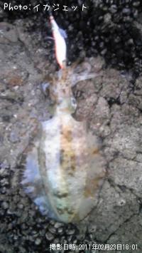 �����ꥤ��