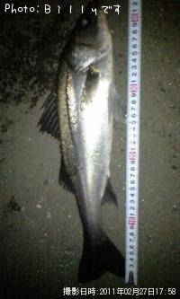 �����Х�