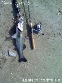 ¥·¡¼¥Ð¥¹ý§