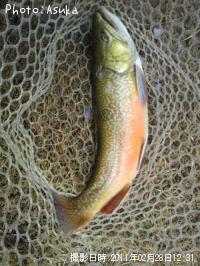 ���㥬���ȥ饦��