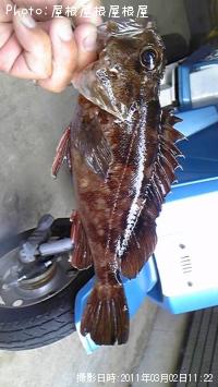 �����������ã