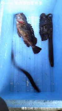 �����������ã