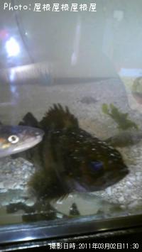 �����������ã