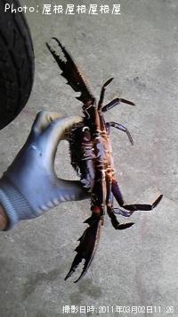 �ӥå��ʥ��ˤ���