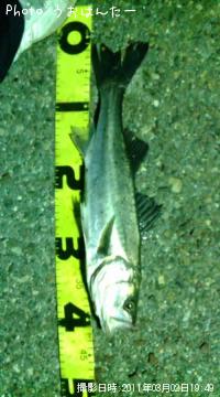 �����Х�