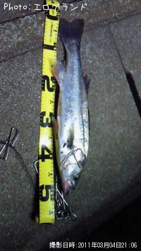 �����Х�