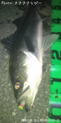 �����Х�