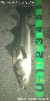 �����Х�