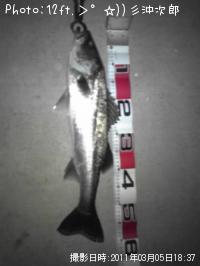 �����Х�