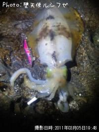 ¥¢¥ª¥ê¥¤¥«