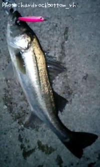 �����Х�