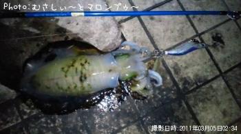 �����ꥤ��