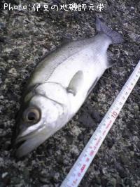 �ҥ饹����