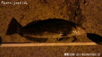 �����ʥ�