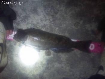 �����ʥ�