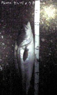 �����Х�