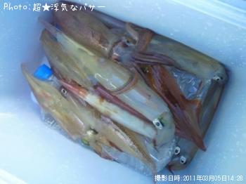 �䥤��������ᥤ��