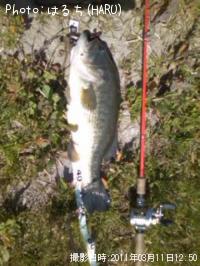 ¥Ö¥é¥Ã¥¯¥Ð¥¹