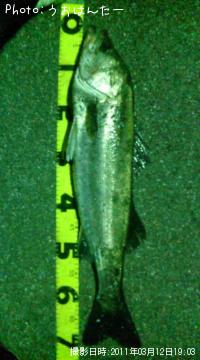 �����Х�