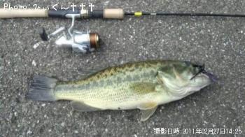 ¥Ö¥é¥Ã¥¯¥Ð¥¹