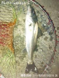 �����Х�