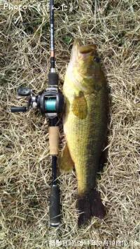 �֥�å��Х�