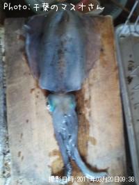 �����ꥤ��