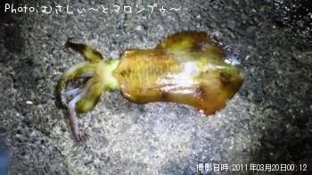 �����ꥤ��