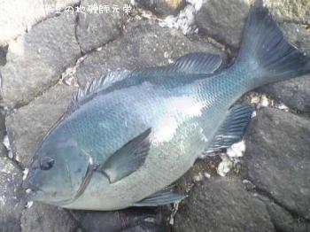 ¸ýÂÀ¥á¥¸¥Ê