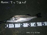 �ޥ륹����