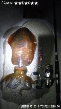 �����ꥤ��