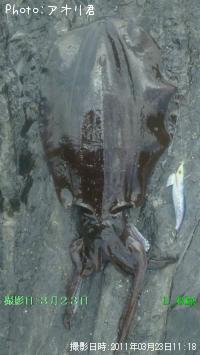 ¥¢¥ª¥ê¥¤¥«