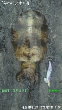 �����ꥤ��