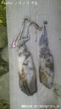 ¥¢¥ª¥ê¥¤¥«