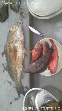 �����ϥ�