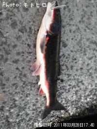 �ޥ륿������