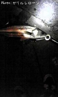 �����Х�