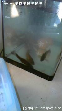 ��Х롢���ʥ��������