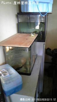 ��Х롢���ʥ��������