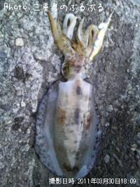 �����ꥤ��