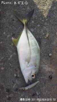 ��å�